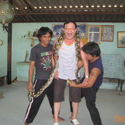 ���������� ������, ���� ������� �����, 60 ���, ������������ ��� ������