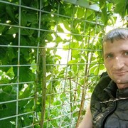  ,   Felix, 43 ,   ,   , c 