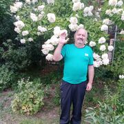  ,   , 66 ,   c 