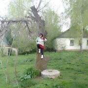  ,   , 65 ,   ,   