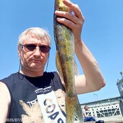 �����, ���������