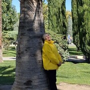 ��������� , ���� "���������"