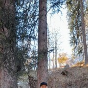  ,   , 52 ,   ,   