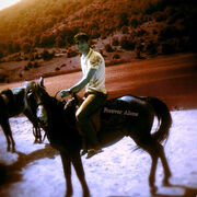 ���������� ������-��-����, ���� ������� Ali, 40 ���, ������������ ��� ������, ����� � ���������