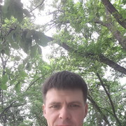  ,   DEN, 44 ,   