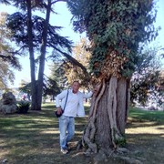  ,   , 50 ,   ,   , c 