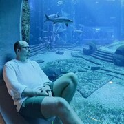 ���������� �����-���������, ���� ������� ����, 45 ���, ������������ ��� ������, ����� � ���������, ���������