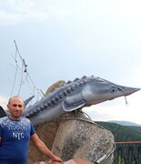 ���������� ����������, ���� ������� ������, 45 ���, ������������ ��� ������, ����� � ���������, c�������� ���������