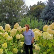  ,   , 58 ,   c 