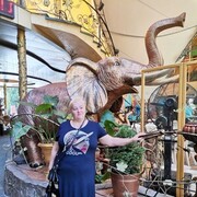 ���������� ��������������, ���� ������� ����, 49 ���, ������������ ��� ������, ����� � ���������, c�������� ���������