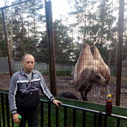  ,   , 41 ,   