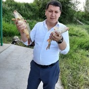  ,  Kozim, 33