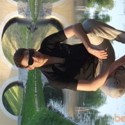 ���������� �����, ���� ������� ����, 38 ���, ������������ ��� ������, ����� � ���������, c�������� ���������