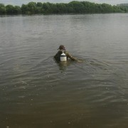 ���������� �����, ���� ������� ���, 31 ���, ������������ 