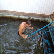 ���������� ������ �����, ���� ������� ����, 34 ����, ������������ ��� ������, ����� � ���������