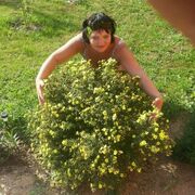 ���������� ������, ���� ������� �����, 54 ����, ������������ ��� ������, ����� � ���������, c�������� ���������