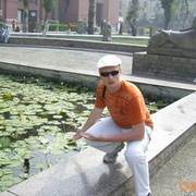   ,   , 41 ,   