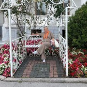 ���������� ���������, ���� ������� ������, 66 ���, ������������ ��� ������, ����� � ���������