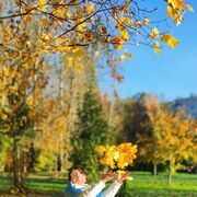 ���������� �����-���������, ���� ������� �������, 49 ���, ������������ ��� ������, ����� � ���������, c�������� ���������