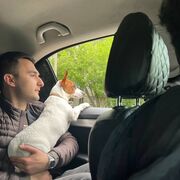 ���������� ������, ���� ������� ����, 34 ����, ������������ ��� ������, ����� � ���������