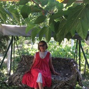 ���������� ���������, ���� ������� ����, 66 ���, ������������ ��� ������, ����� � ���������, c�������� ���������