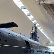 ���������� �����-���������, ���� ������� �������, 42 ����, ������������ ��� ������, ����� � ���������