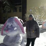 ���������� ����, ���� ������� ������, 43 ����, ������������ ��� ���������