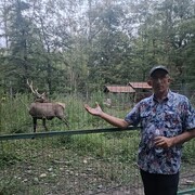  ,   , 45 ,   ,   