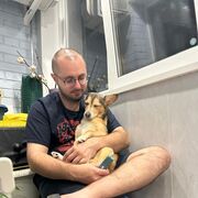 ���������� �����-���������, ���� ������� ���������, 33 ����, ������������ ��� ������, ����� � ���������, c�������� ���������