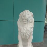 ���������� �����������, ���� ������� �����, 46 ���, ������������ ��� ������, ����� � ���������, c�������� ���������, ���������