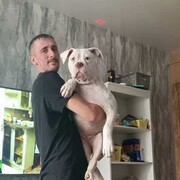  ,   , 40 ,   ,   , c 