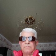 ���������� ������������, ���� ������� ���, 58 ���, ������������ ��� ������, ����� � ���������