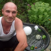  ,   , 41 ,   