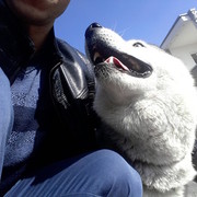 ���������� ������, ���� ������� �������, 29 ���, ������������ ��� ������, ����� � ���������, c�������� ���������