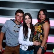  ,   Costeababii, 31 ,   