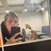  ,    , 22 ,   ,   