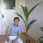  ,   Boiko, 51 ,   ,   , c 