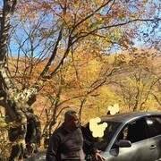 ���������� �������, ���� ������� Giorgi, 51 ���, ������������ ��� ������, ����� � ���������, c�������� ���������, ���������