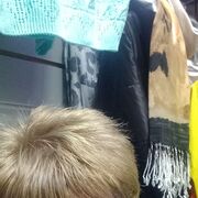  ,   , 55 ,     , c , 