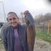  ,   , 49 ,   ,   
