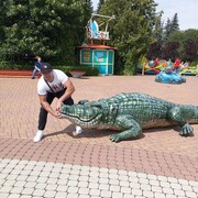 ���������� �����-���������, ���� ������� ����, 43 ����, ������������ ��� c�������� ���������