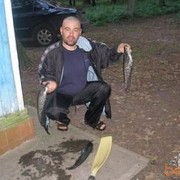  ,   , 55 ,   