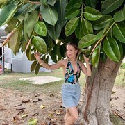 ���������� ������, ���� ������� ���������, 36 ���, ������������ ��� c�������� ���������