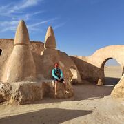 ���������� �����, ���� ������� Coitos, 38 ���, ������������ ��� ������, ����� � ���������, c�������� ���������