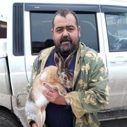 ���������� ������-��-����, ���� ������� ����, 50 ���, ������������ ��� ����� � ���������, c�������� ���������