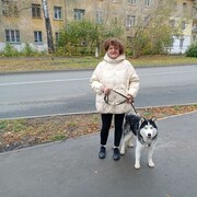   ,   , 60 ,   ,   