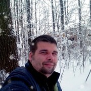  --,   , 41 ,   