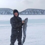 ���������� ������, ���� ������� Roma, 36 ���, ������������ ��� ������, ����� � ���������