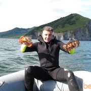 ���������� �������������-����������, ���� ������� ������, 50 ���, ������������ ��� ������