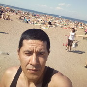  -,   , 41 ,  